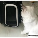 엘로이 동물병원 이미지