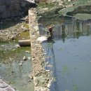 굿거리공원 이미지