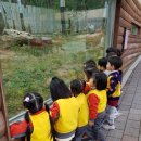 삼정더파크 동물원 ㅡ2 이미지