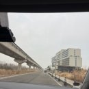 에코펫케어 | 강아지랑 떠난 영종도 ①편: 펫호텔+네스트호텔 치킨 파티