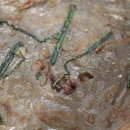 마당기픈집 이미지