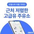 말 달리자 오일나우 이미지