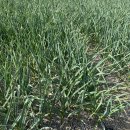 홍산농장 이미지