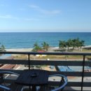 다우리조텔 이미지