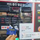 코끼리세차장 이미지