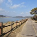 여주-0309 이미지