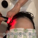 경기도 수원시 팔달구 수원천로210번길 | 수원탈모관리 SOD항산화 케어 | 나와모랩 수원1호