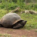 대왕목장 이미지