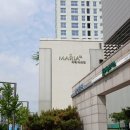 상봉마리아의원 시험관 1차 / 두번째 난자채취 후기 / 40대 난자채취 갯수
