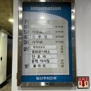 붱 | 둔산동 술집 붱 분위기 좋은 루프탑 맛집 데이트 장소로 추천