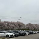 안성 | [경기도 안성] 안성 팜랜드 후기 (+ 주말 | 주차 | 할인 | 맛집)