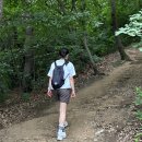 하이버드코리아 | 러닝 오픈형 이어폰 품절대란 소니 링크버즈 클립 블루투스 이어폰 솔직 후기