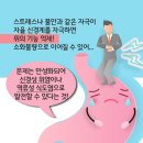 금산거북이한의원