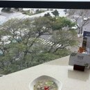 458 | [온 가족 다낭 여행🌴] 가기싫어 흑흑...노보텔 조식, 분짜 맛집, 대한항공 KE458 탑승후기