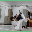 무극체육관 | 인천합기도 체계적 수련으로 자신감 UP, 건강한 삶의 동반자 '거인합기도 총본관'