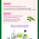 시제이(CJ)소프트 이미지