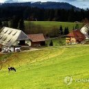 김창선농장 이미지