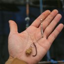 별밤하우스 이미지