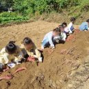 사방외갓집마을 이미지