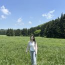 정다운목장 | 제주도 4박5일 여행 일정 경비 코스 5월 날씨