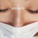 라온속눈썹 이미지