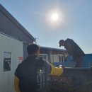 신가리낚시터 이미지