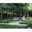 달마사진관 네이버블로그