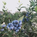 미륵산농장 이미지