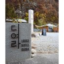 디여라 | Nikon Zf - 안동 [ 롯지호텔 디여라 ]