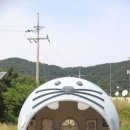 백령고등학교 이미지