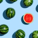 유구체육관 이미지