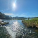 청도천7 | 🎣 청도천 배스 조행기 - 소라보&amp;고평교편