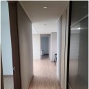 왈가왈부 반려견센터 | [자연매트]김포,부천,인천층간소음매트(구월지웰시티푸르지오34평거실,주방,복도전체시공)