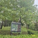 찬우물근린공원 | 인천 구월동 찬우물근린공원 코스모스🌸 산책 &amp; 주차