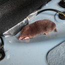 장수의 땅 그리고 이미지