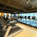 홍중로 | 운동 동기를 확실히 잡을 수 있었던 서귀포pt 마인드휘트니스 PT&amp;필라테스&amp;요가 서홍점!