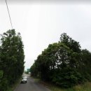 덕수교차로(평화로) 이미지