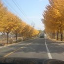 이상재공인중개사사무소 이미지