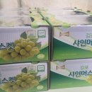 형제포도원