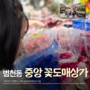 중앙상가 | 소매가보다 저렴하게! 부산 범천동 중앙꽃도매상가 꽃다발구매 후기