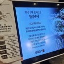 정성순대 서면점 | 서면 롯데백화점 맛집 정성순대 서면점 순대전골 후기