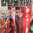 현대종묘농약사 이미지