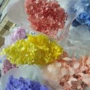 광주광명초등학교 병설유치원 이미지