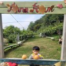 안나농원 이미지