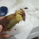 디엠사이언스 | 엉망진창 우당탕탕