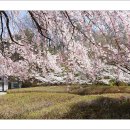 인천대공원(남문) 이미지