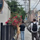 망원 성원 2차 아파트 이미지