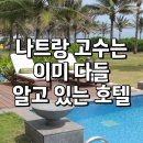 네트네일 - 중구 유천로58번길 33 | 나트랑 멜리아 빈펄 깜란 호텔 하나로 여행이 달라져요