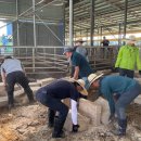 도포농협 이미지