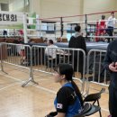 압구정 라이프 복싱 이미지